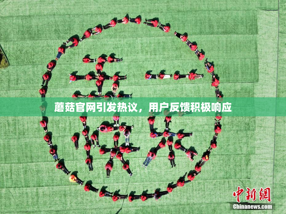 蘑菇官网引发热议，用户反馈积极响应
