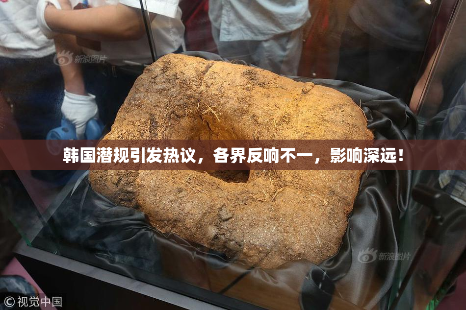 韩国潜规引发热议，各界反响不一，影响深远！