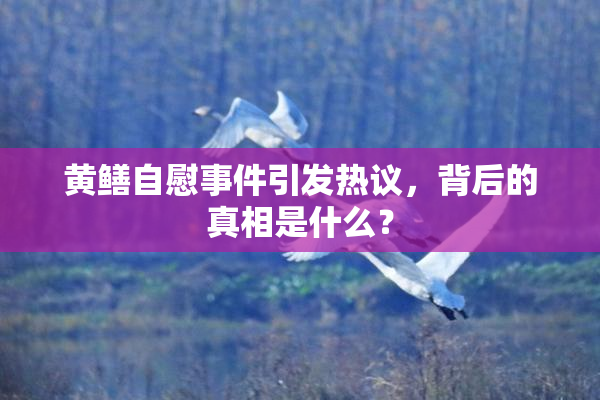 黄鳝自慰事件引发热议，背后的真相是什么？