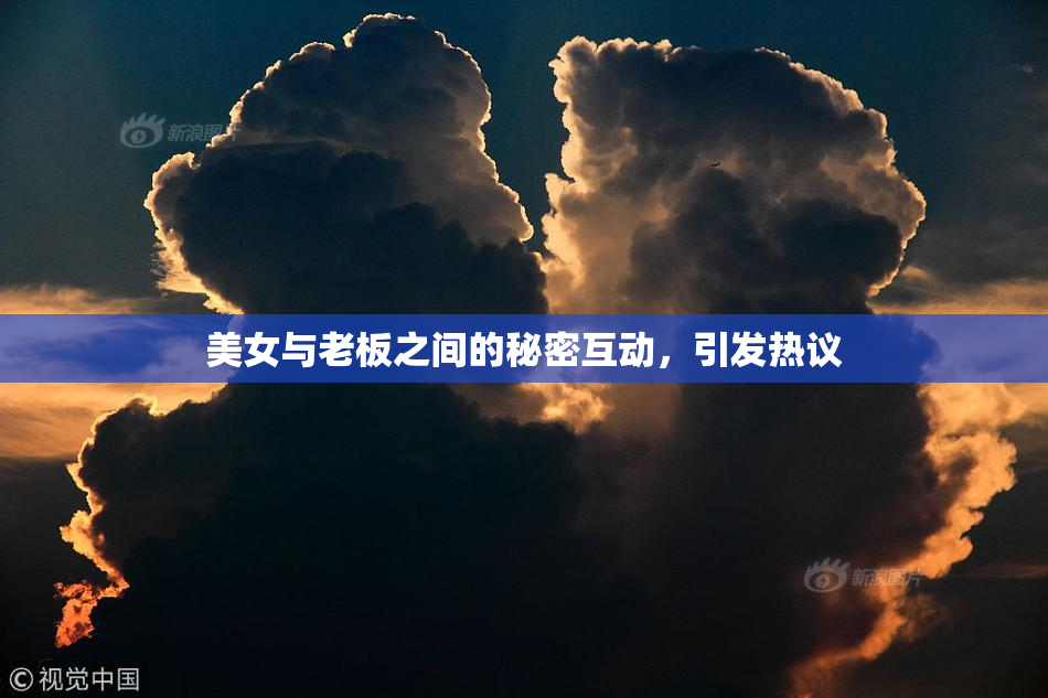 美女与老板之间的秘密互动，引发热议