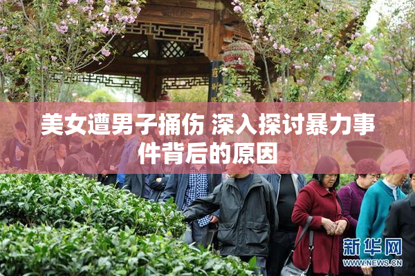 美女遭男子捅伤 深入探讨暴力事件背后的原因