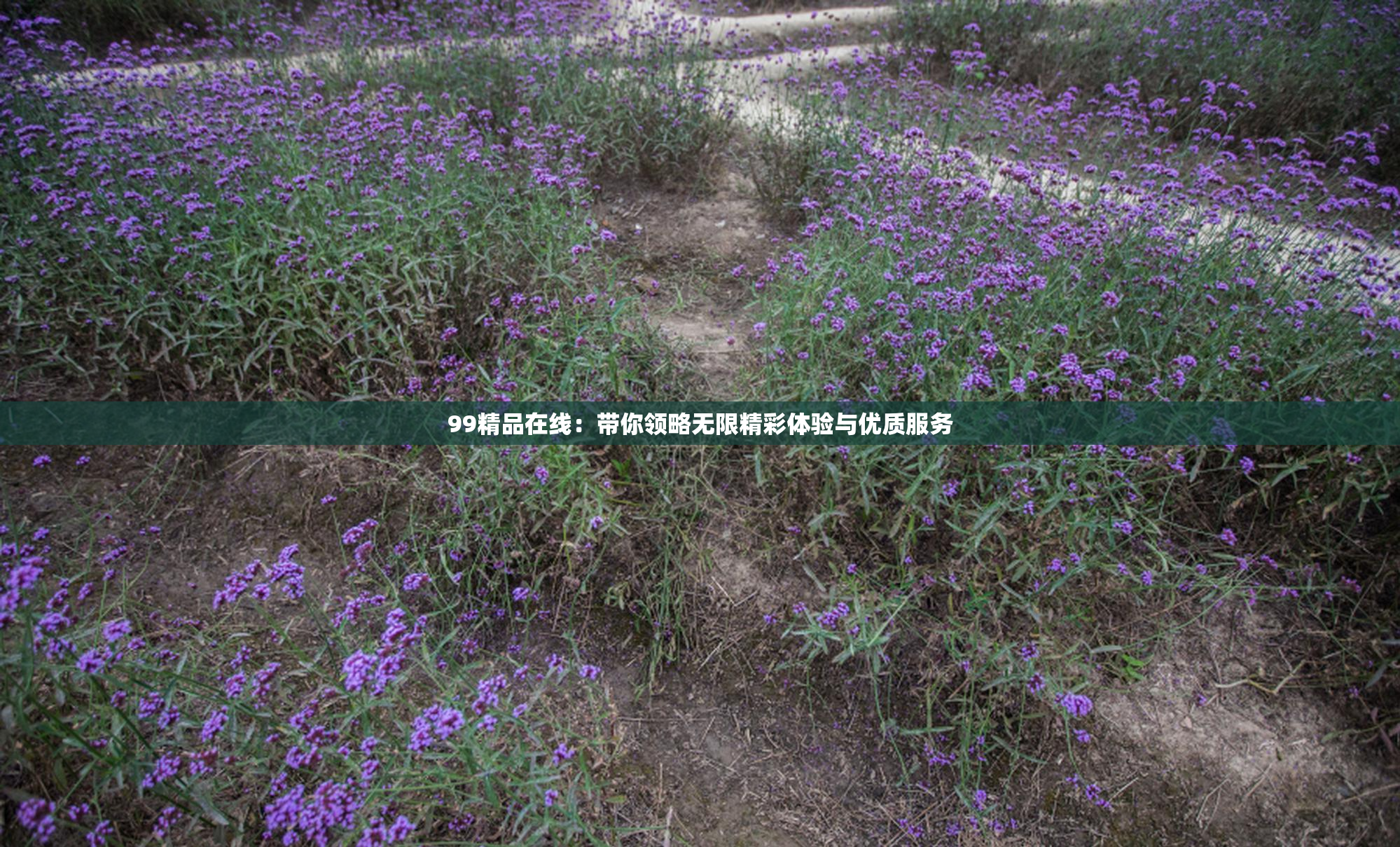 99精品在线：带你领略无限精彩体验与优质服务