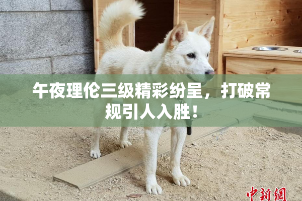 午夜理伦三级精彩纷呈，打破常规引人入胜！