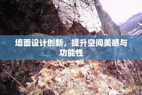 墙面设计创新，提升空间美感与功能性