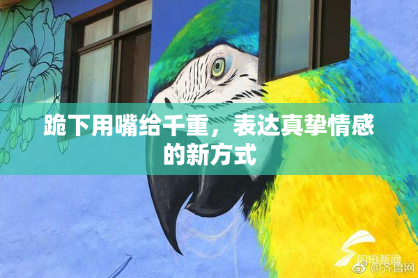 跪下用嘴给千重，表达真挚情感的新方式