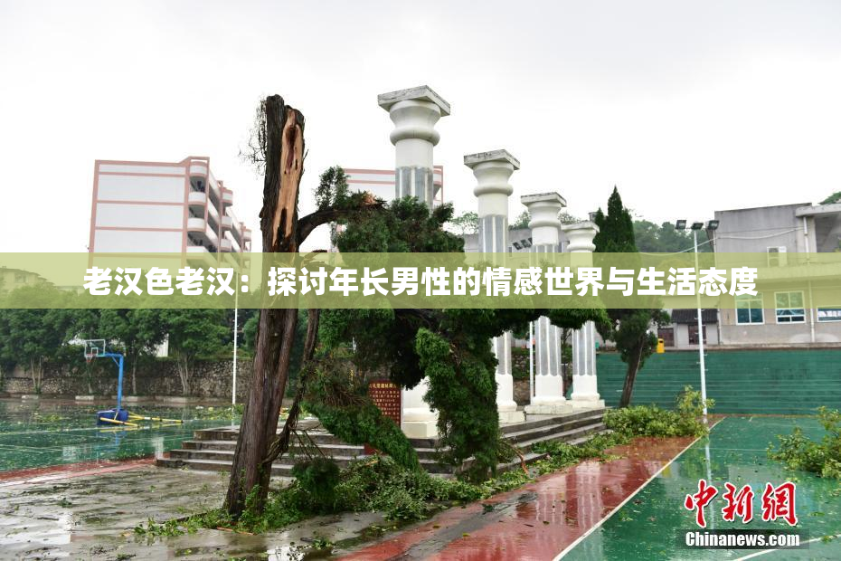 老汉色老汉：探讨年长男性的情感世界与生活态度