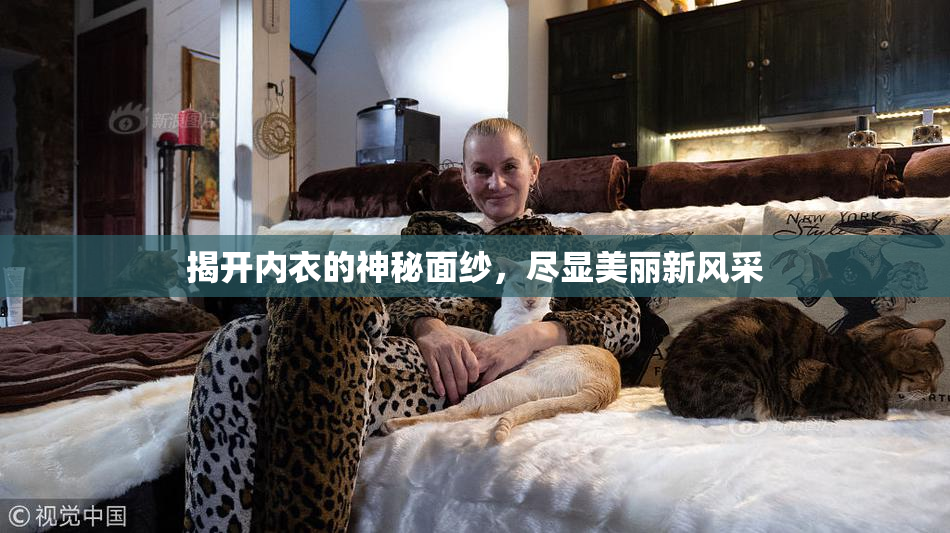 揭开内衣的神秘面纱，尽显美丽新风采
