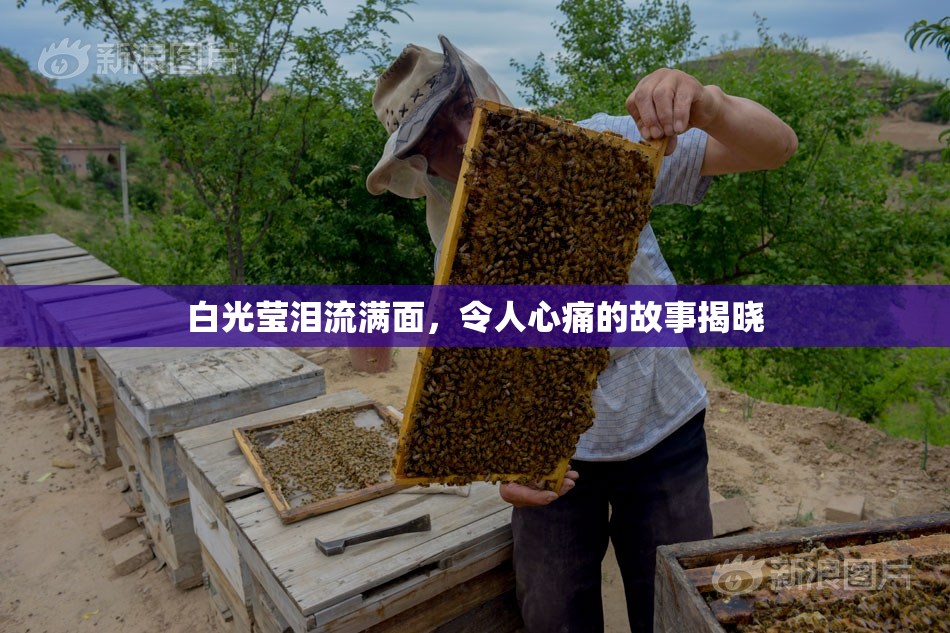 白光莹泪流满面，令人心痛的故事揭晓