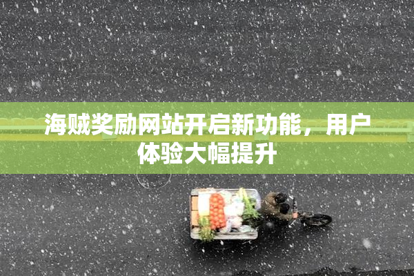 海贼奖励网站开启新功能，用户体验大幅提升