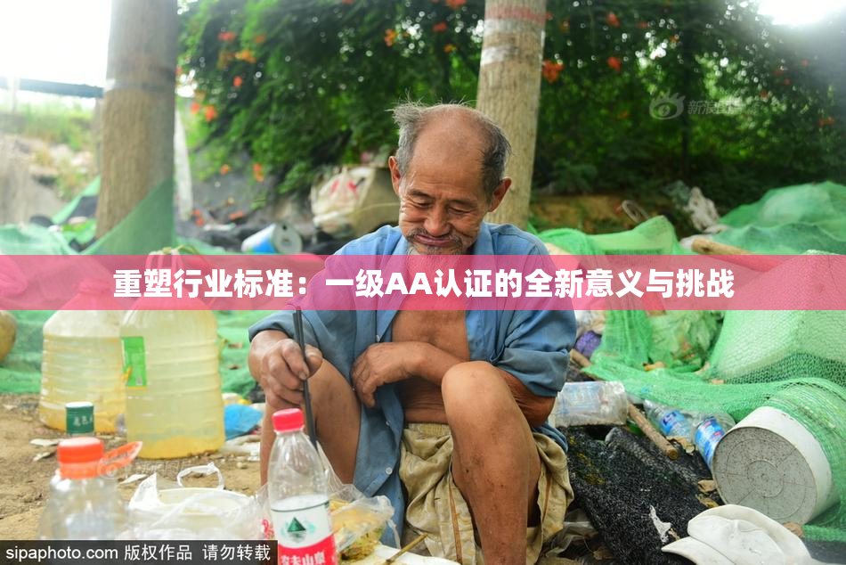 重塑行业标准：一级AA认证的全新意义与挑战