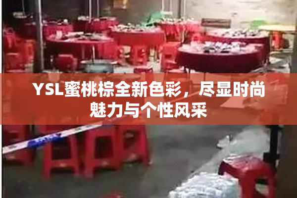 YSL蜜桃棕全新色彩，尽显时尚魅力与个性风采