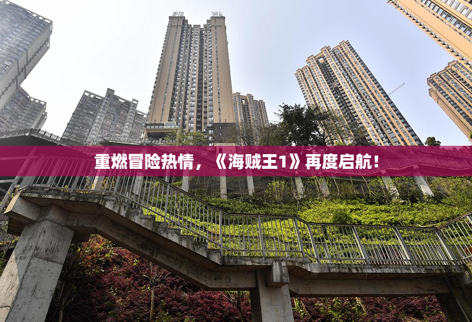 重燃冒险热情，《海贼王1》再度启航！