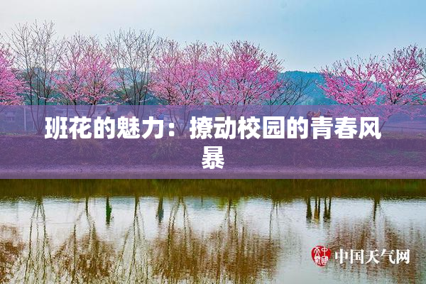 班花的魅力：撩动校园的青春风暴