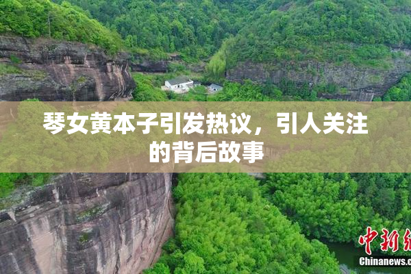 琴女黄本子引发热议，引人关注的背后故事