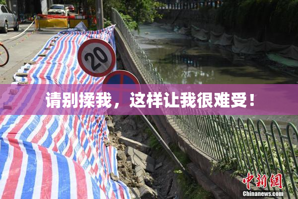 请别揉我，这样让我很难受！