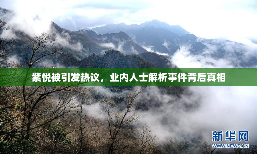 紫悦被引发热议，业内人士解析事件背后真相