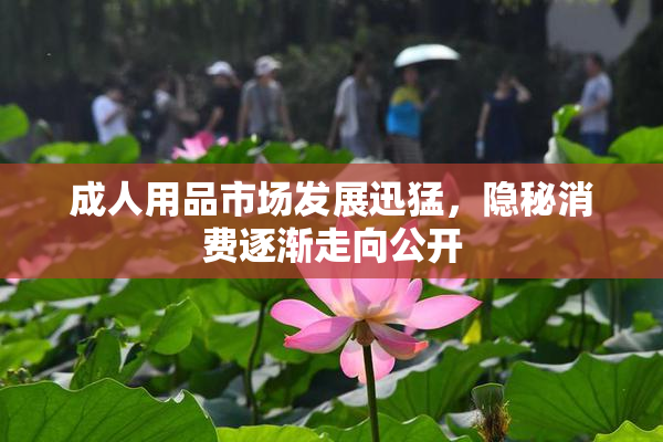 成人用品市场发展迅猛，隐秘消费逐渐走向公开