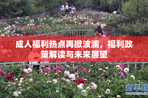 成人福利热点再掀波澜，福利政策解读与未来展望