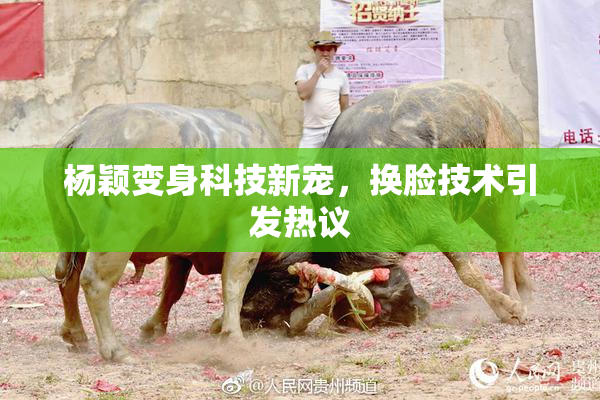 杨颖变身科技新宠，换脸技术引发热议