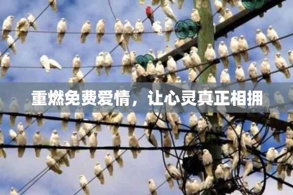 重燃免费爱情，让心灵真正相拥