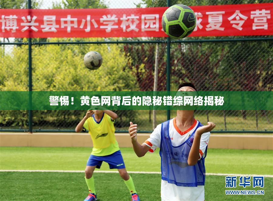 警惕！黄色网背后的隐秘错综网络揭秘
