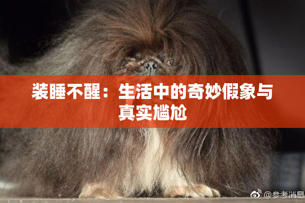 装睡不醒：生活中的奇妙假象与真实尴尬