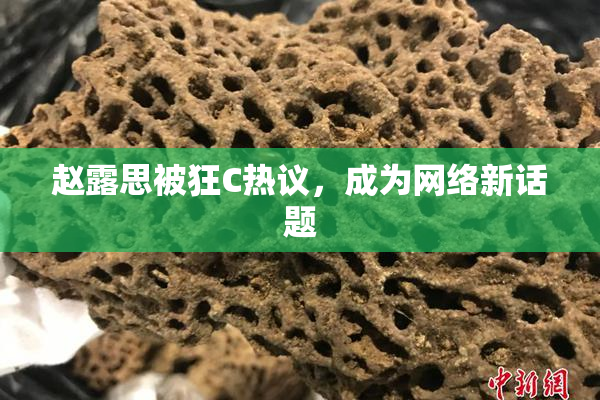 赵露思被狂C热议，成为网络新话题
