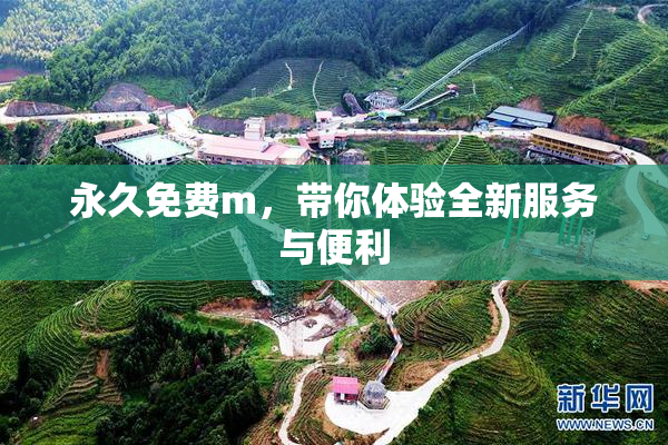 永久免费m，带你体验全新服务与便利