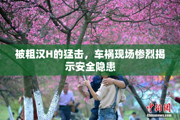 被粗汉H的猛击，车祸现场惨烈揭示安全隐患