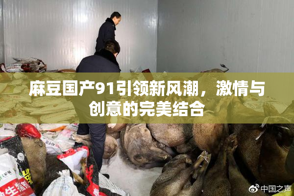 麻豆国产91引领新风潮，激情与创意的完美结合