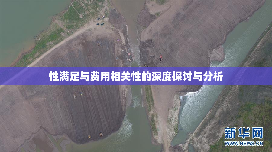 性满足与费用相关性的深度探讨与分析