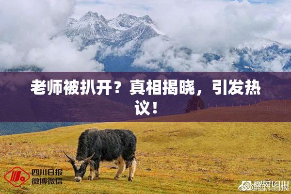 老师被扒开？真相揭晓，引发热议！
