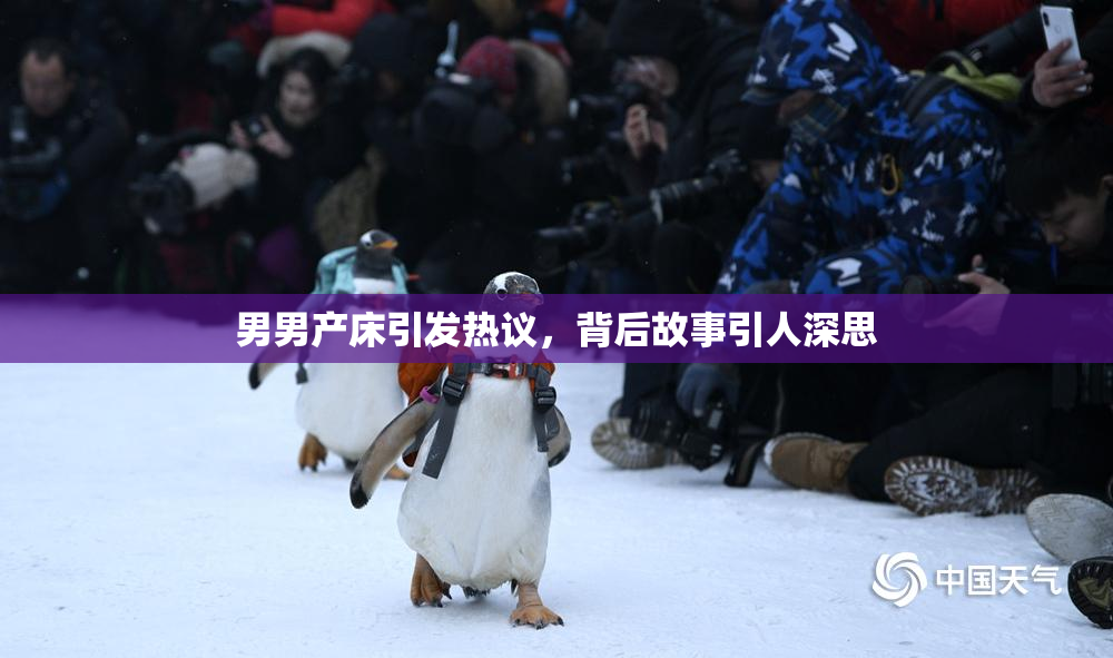 男男产床引发热议，背后故事引人深思