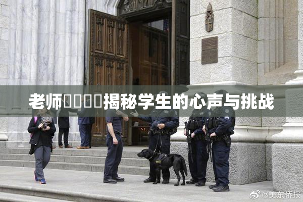 老师❌‌❌‌揭秘学生的心声与挑战