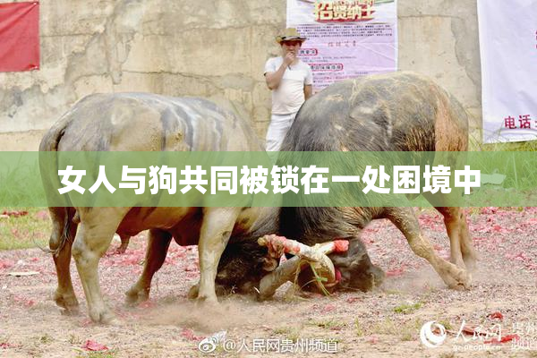 女人与狗共同被锁在一处困境中
