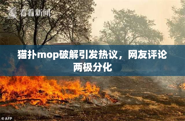 猫扑mop破解引发热议，网友评论两极分化