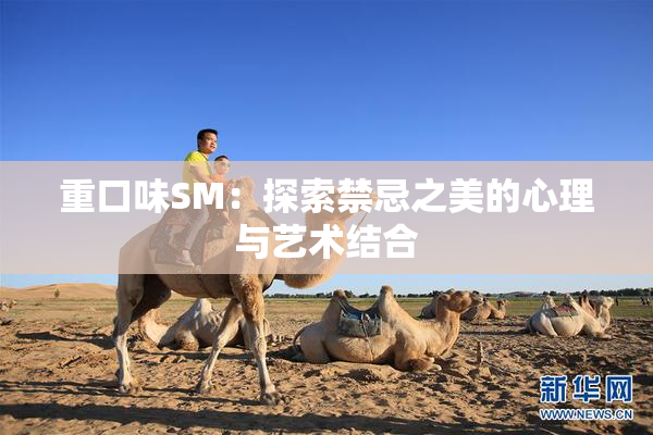 重口味SM：探索禁忌之美的心理与艺术结合