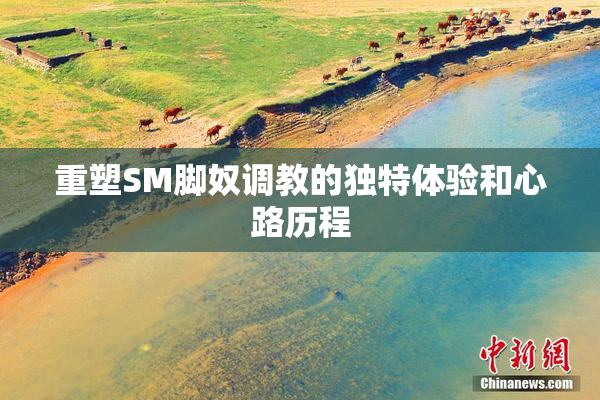 重塑SM脚奴调教的独特体验和心路历程