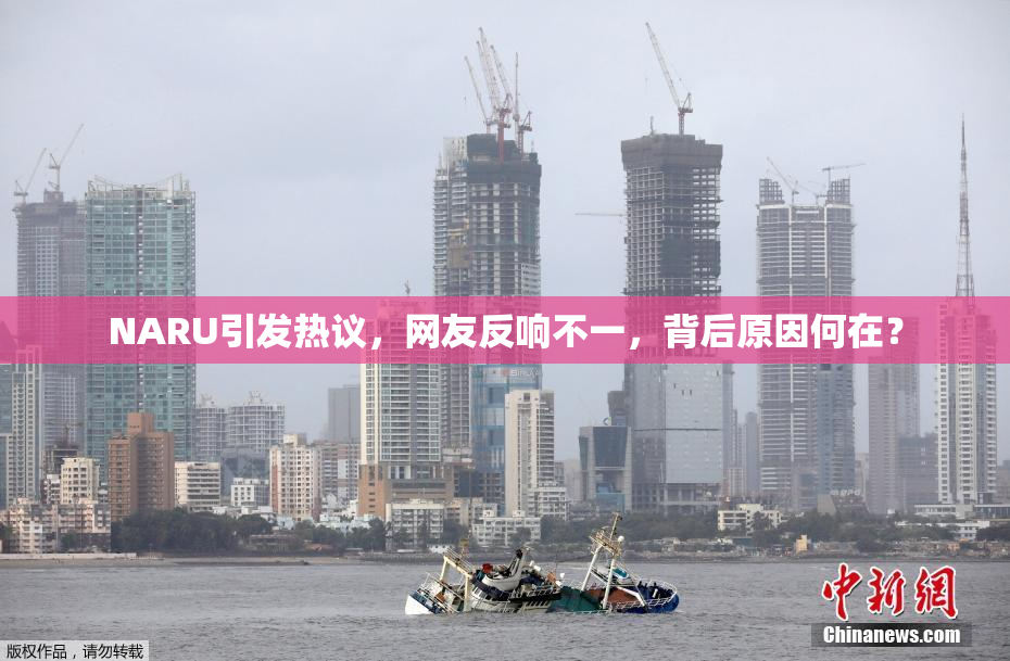 NARU引发热议，网友反响不一，背后原因何在？