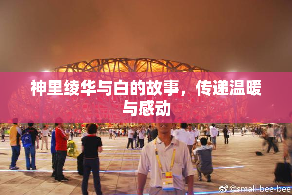 神里绫华与白的故事，传递温暖与感动