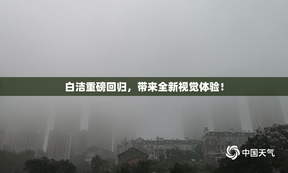 白洁重磅回归，带来全新视觉体验！