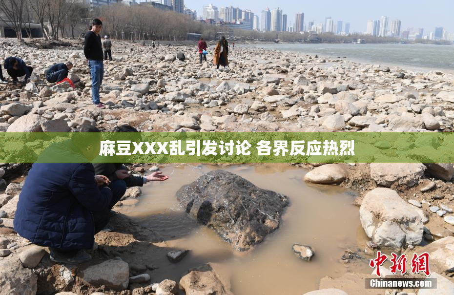 麻豆XXX乱引发讨论 各界反应热烈
