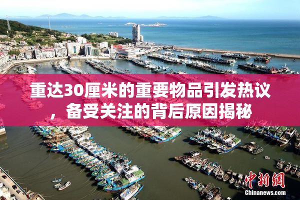 重达30厘米的重要物品引发热议，备受关注的背后原因揭秘