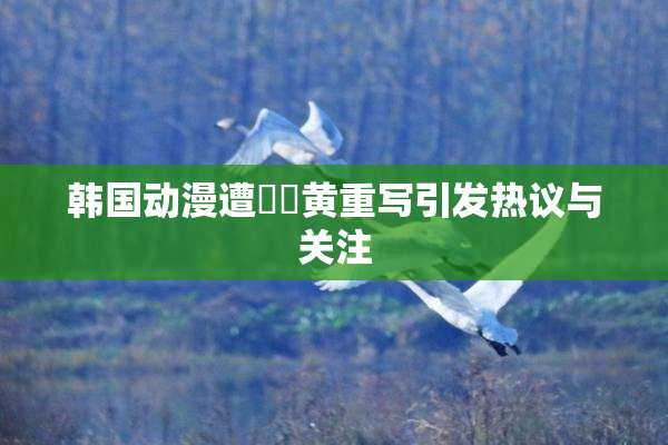 韩国动漫遭❌‌黄重写引发热议与关注