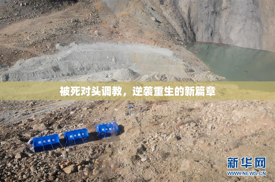 被死对头调教，逆袭重生的新篇章