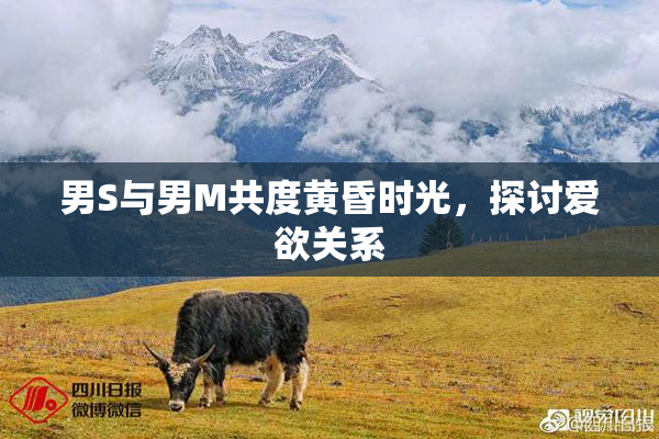 男S与男M共度黄昏时光，探讨爱欲关系