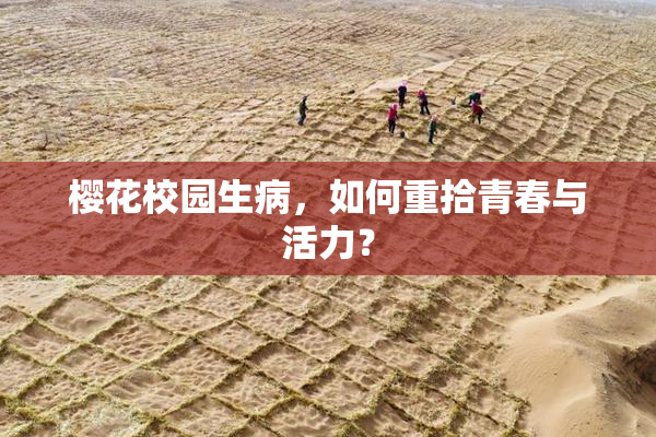 樱花校园生病，如何重拾青春与活力？