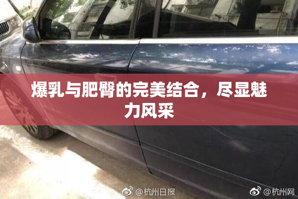 爆乳与肥臀的完美结合，尽显魅力风采
