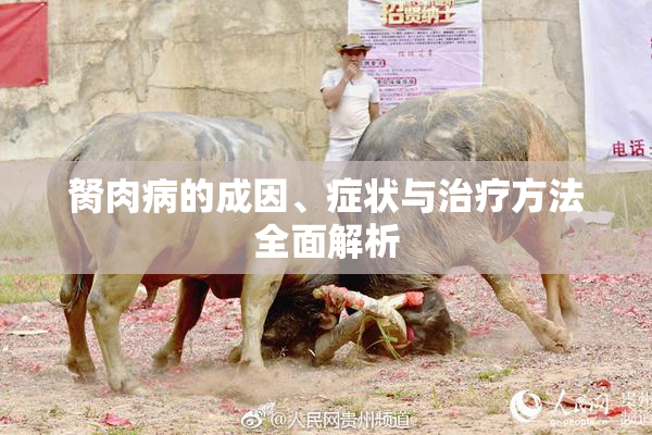 胬肉病的成因、症状与治疗方法全面解析